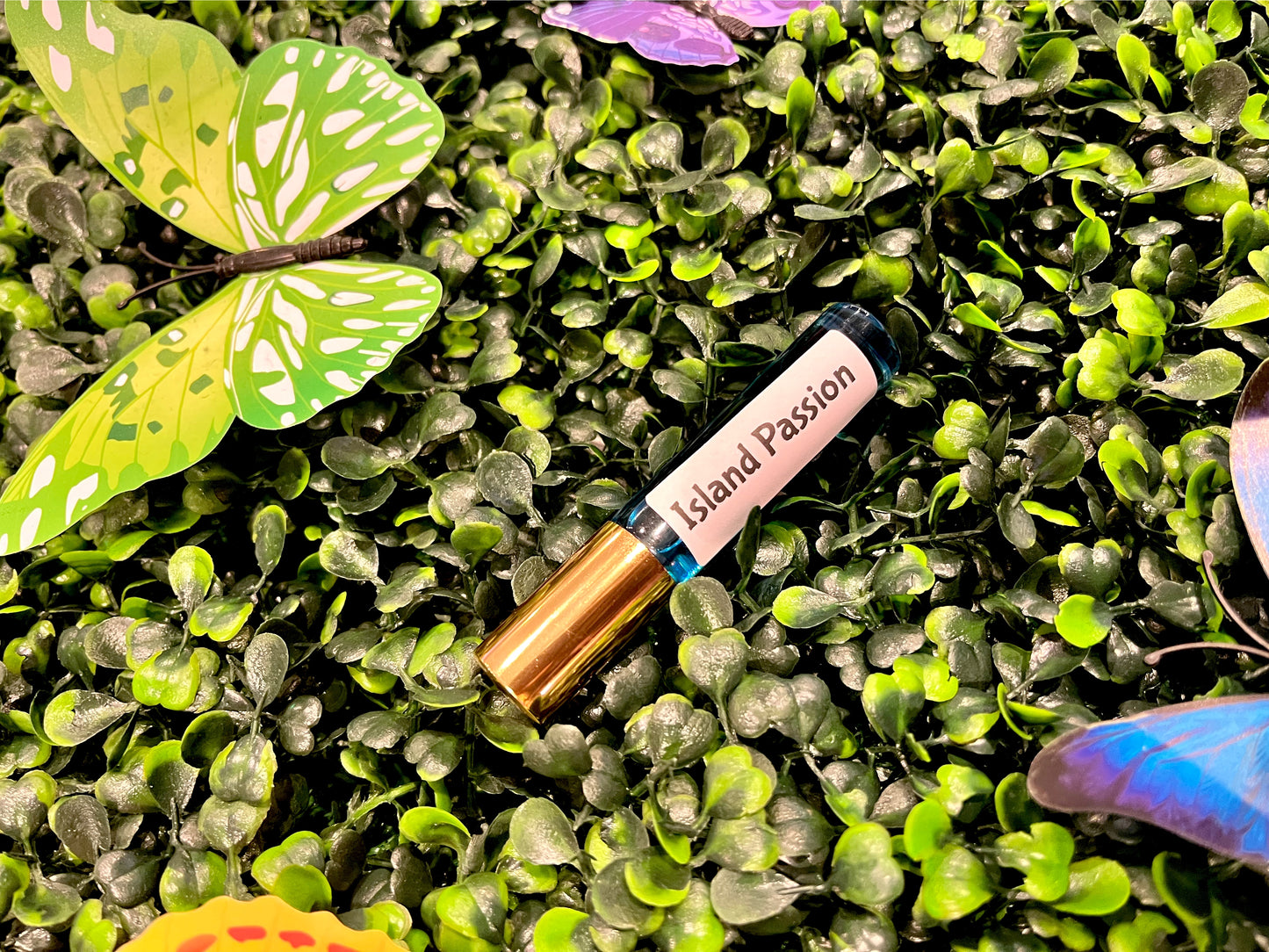 Island Passion “(2 n 1)”