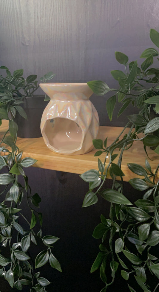 Mermaid 🧜🏽♀️ Tri Color