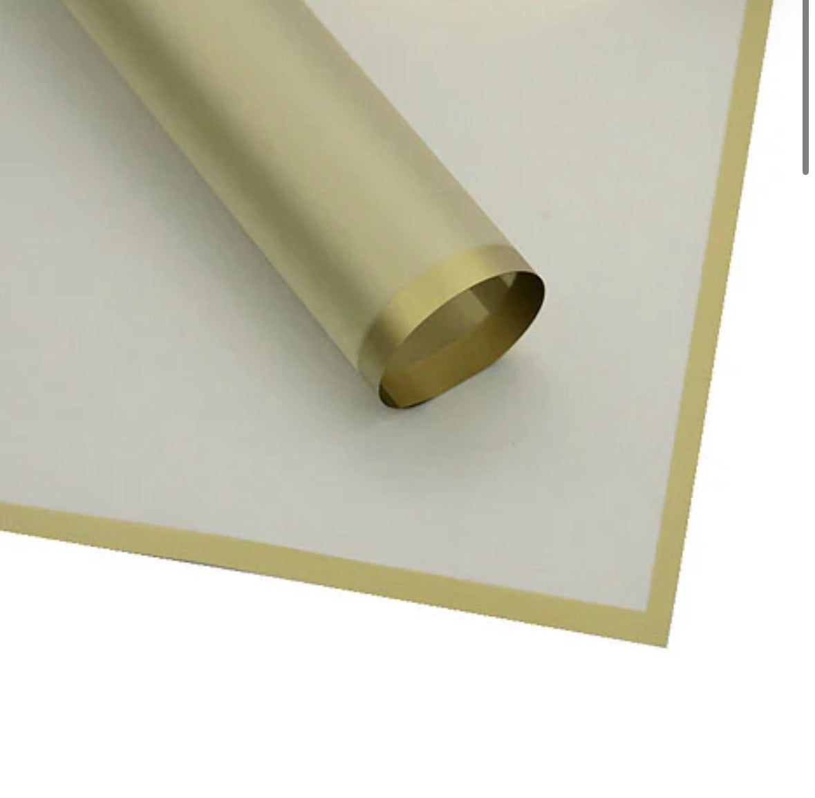Waterproof Paper (Transparent w Solid Edge Trim)