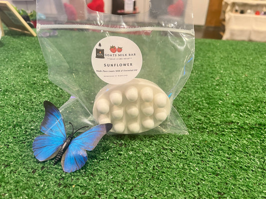 (Sunflower🌻) Massage Body Bar 🧼